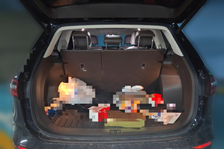 Volkswagen Viloran 2022 immagine di auto #21