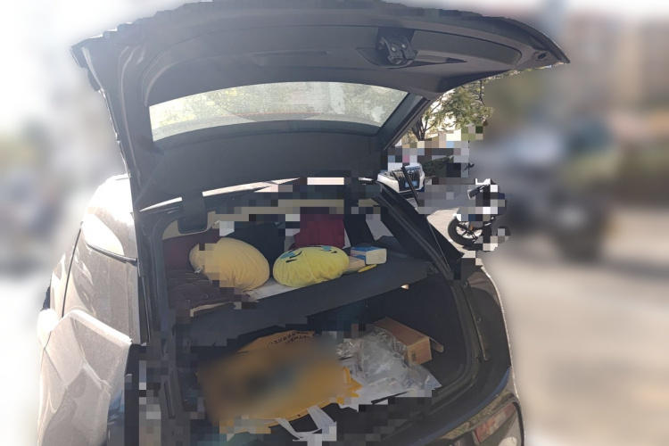 BMW i3 (Imported) 2019 #21 BMW i3 (Imported) 2019 immagine di auto #21