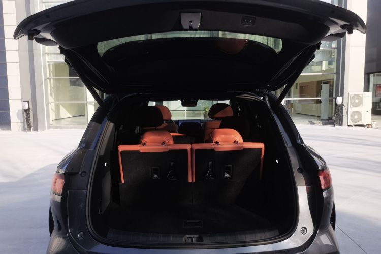 BYD Tang L 2025 #21 BYD Tang L 2025 car image #21