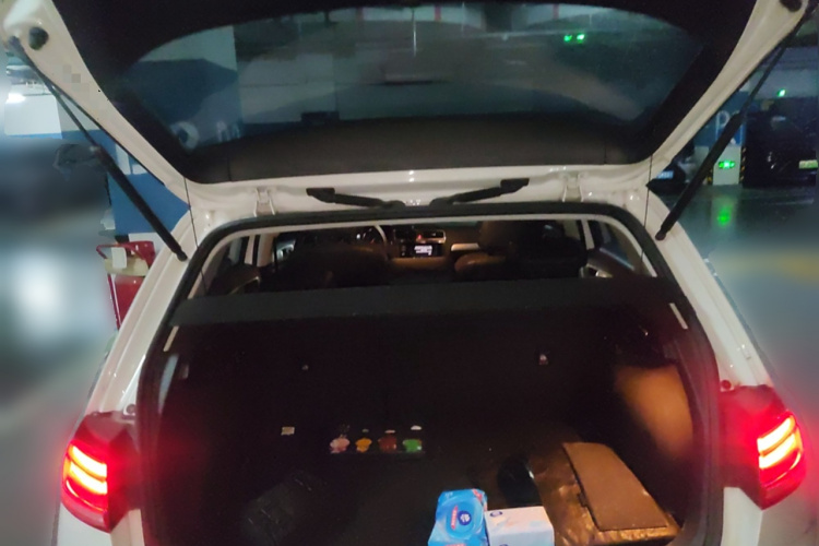 大众 高尔夫·纯电 2020 汽车图片 #21