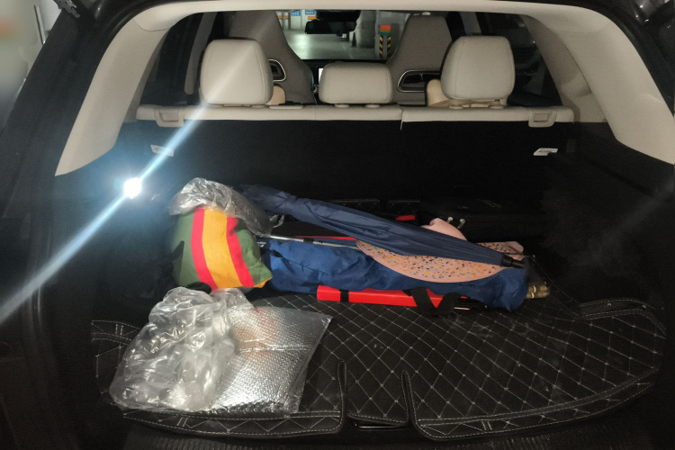 MG Pilot 2021 car image #21