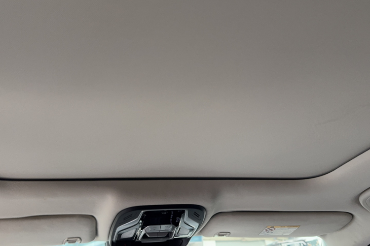 GEELY Tugella 2020 car image #21