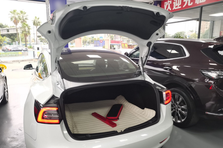 特斯拉 Model 3(进口) 2019 汽车图片 #21