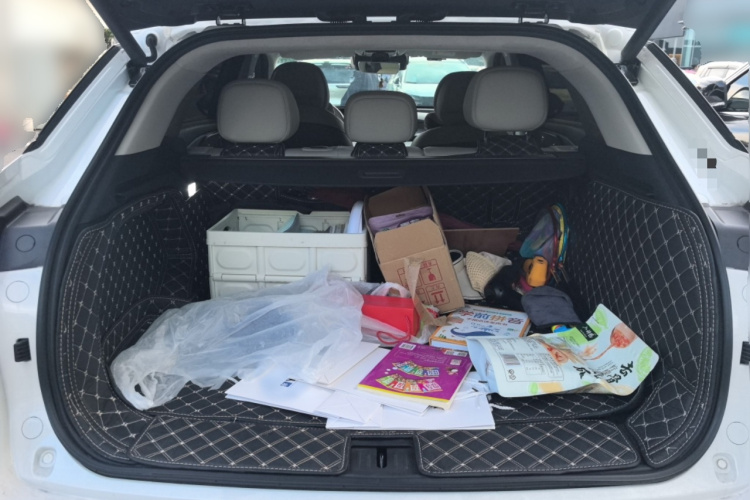 Exceed Yaoguang C-DM 2024 #21 Exceed Yaoguang C-DM 2024 immagine di auto #21