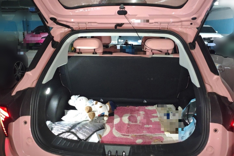 Neta V 2022 #21 Neta V 2022 изображение автомобиля #21