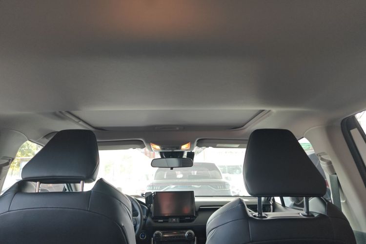 Toyota Wildlander 2022 imagem de carro #21