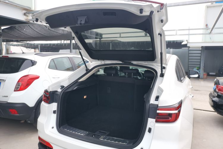 Changan CS85 Coupe 2022 car image #21