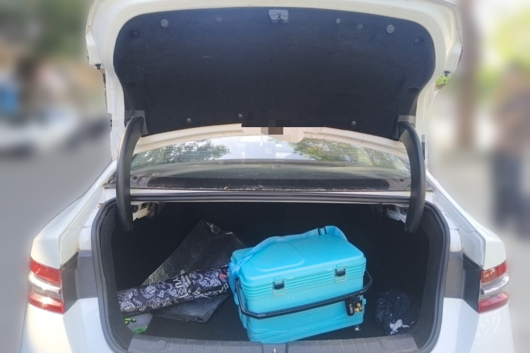 BYD Qin Pro 2018 #21 BYD Qin Pro 2018 car image #21