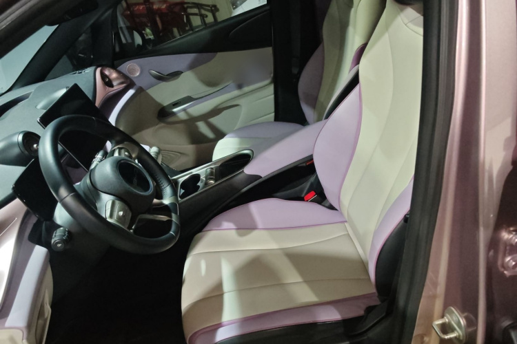 比亚迪 海豚 2022 汽车图片 #21