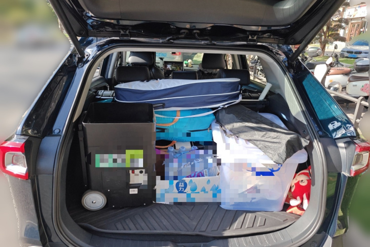 Toyota Wildlander New Energy 2021 car image #21