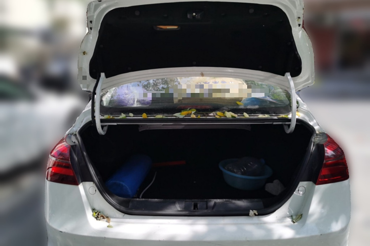 GEELY Emgrand New Energy 2018 car image #21