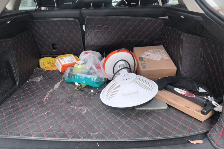 GEELY Tugella S 2021 car image #21