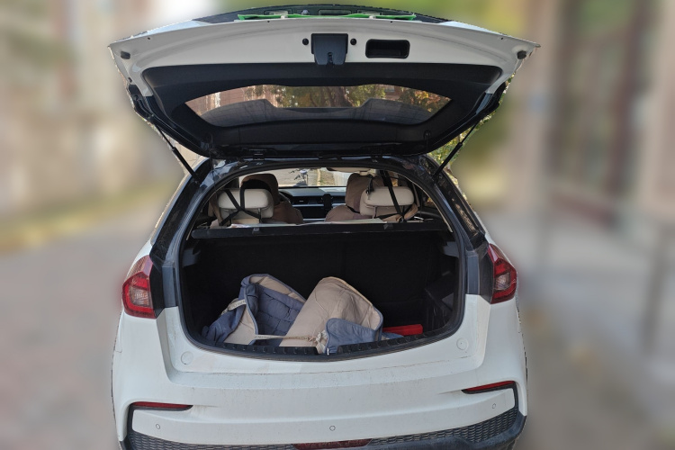 睿蓝汽车 枫叶30X 2021 汽车图片 #21