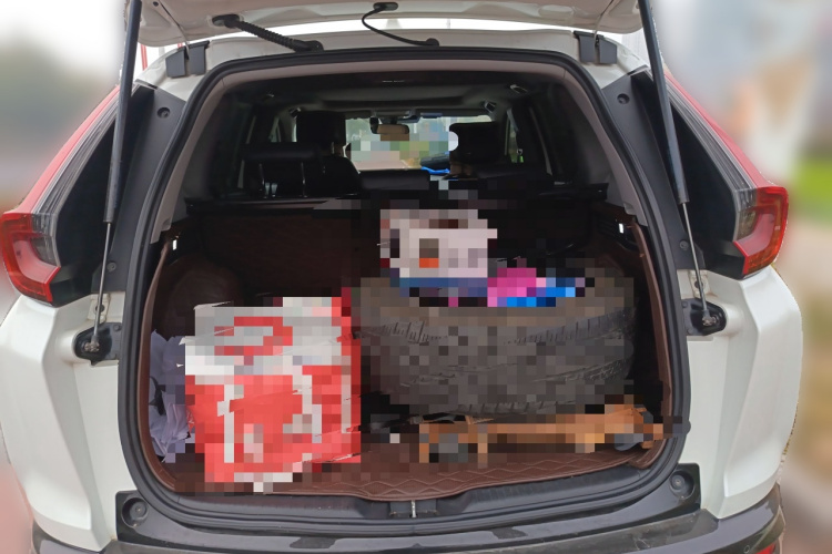 Honda CR-V New Energy 2021 car image #21