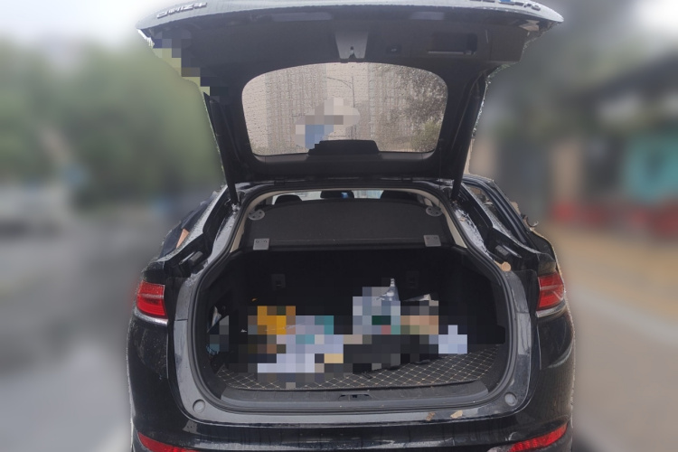 GEELY Tugella New Energy 2021 car image #21