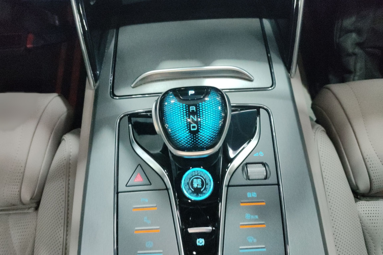BYD Tang New Energy 2024 image de voiture #21