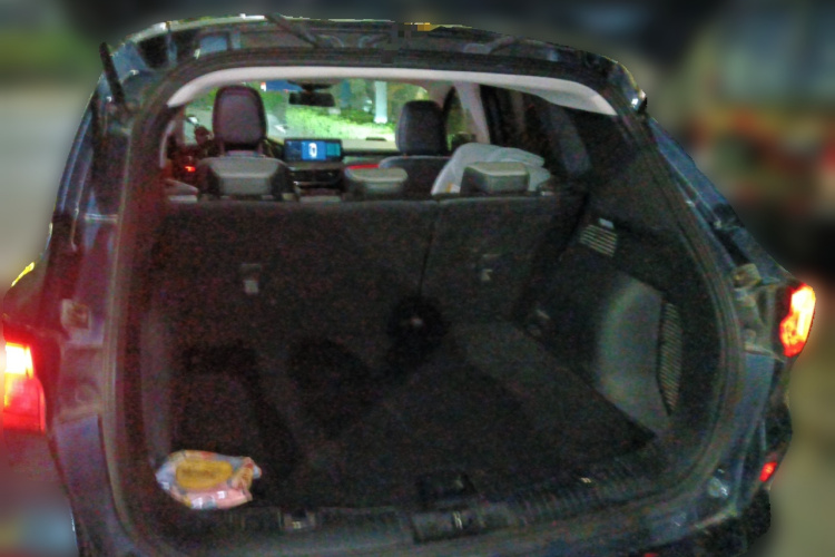 Ford Escape (Imported) 2021 car image #21