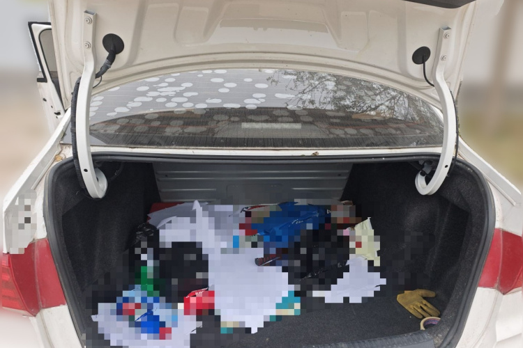 桑塔纳 2019 汽车图片 #21