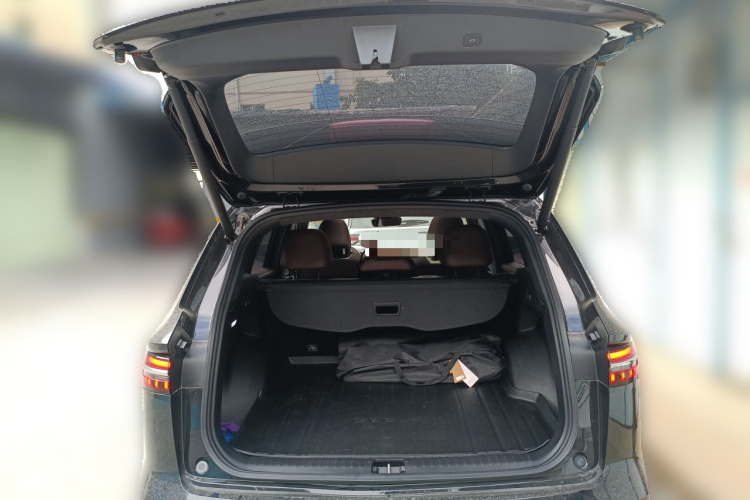 GEELY Tugella 2022 car image #21