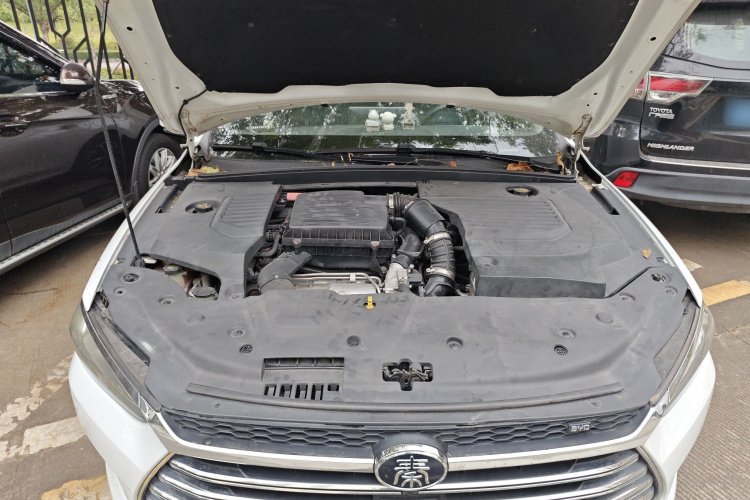 BYD Qin Pro New Energy 2018 car image #21