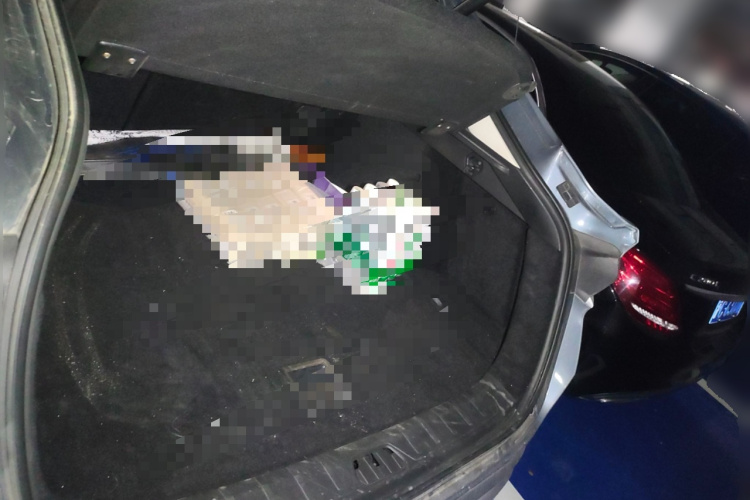 GEELY Tugella New Energy 2020 car image #21