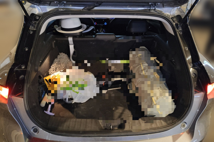 Volkswagen Bora Classic 2020 #21 Volkswagen Bora Classic 2020 immagine di auto #21