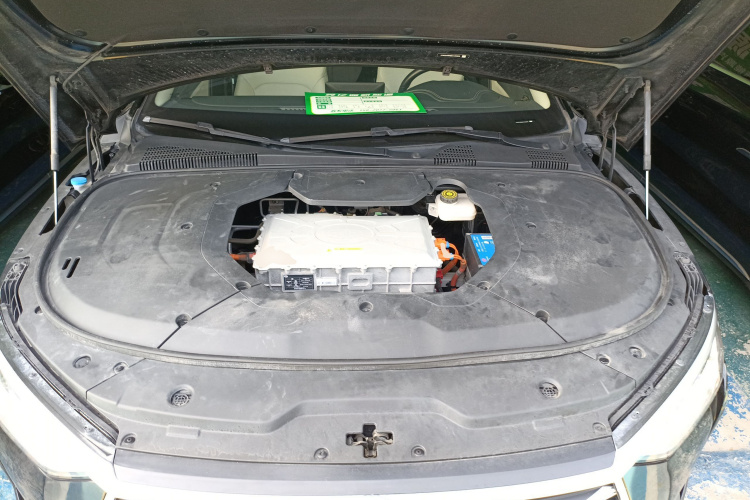 BYD e9 2021 #21 BYD e9 2021 immagine di auto #21