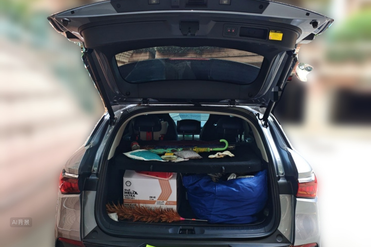 BYD Yuan Plus 2022 #21 BYD Yuan Plus 2022 car image #21