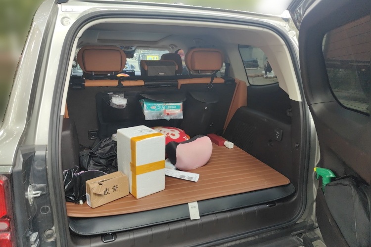 Tank 500 2023 car image #21