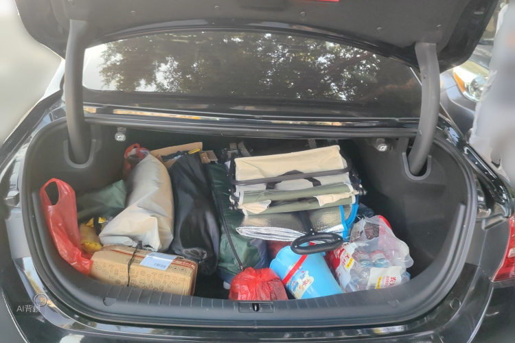 HongQi H5 2019 car image #21