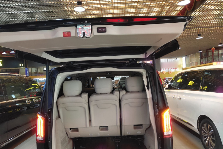 Mercedes-Benz V Class 2020 immagine di auto #21