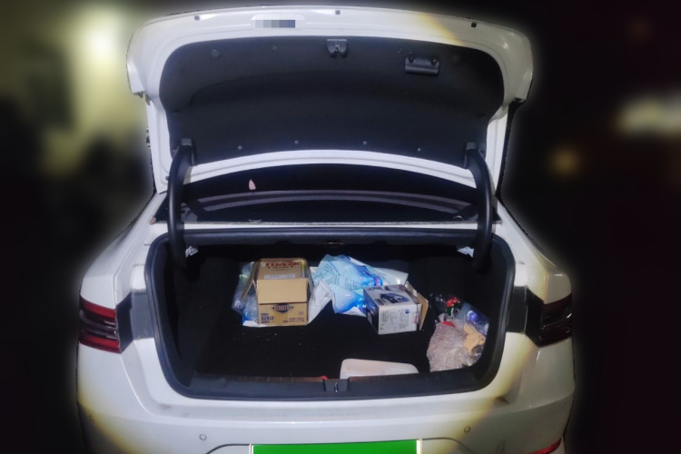 BYD Qin Pro 2020 car image #21