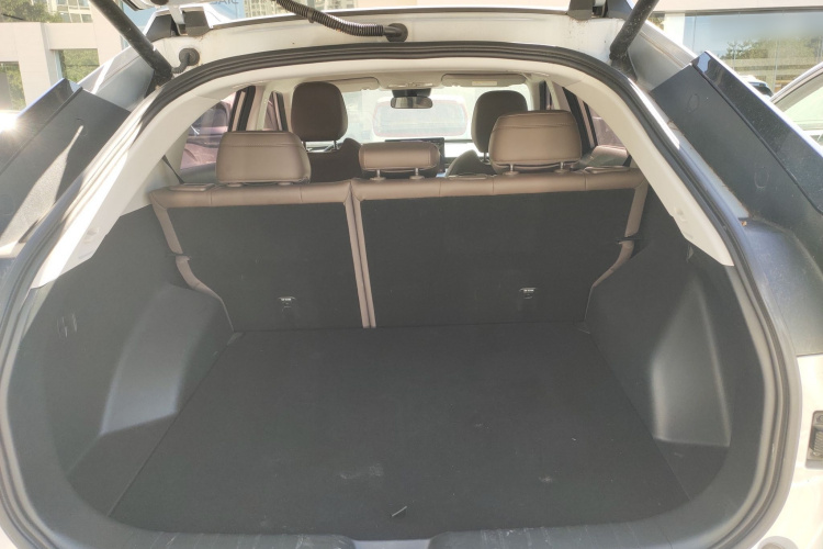 GAC Trumpchi GS4 2024 car image #21