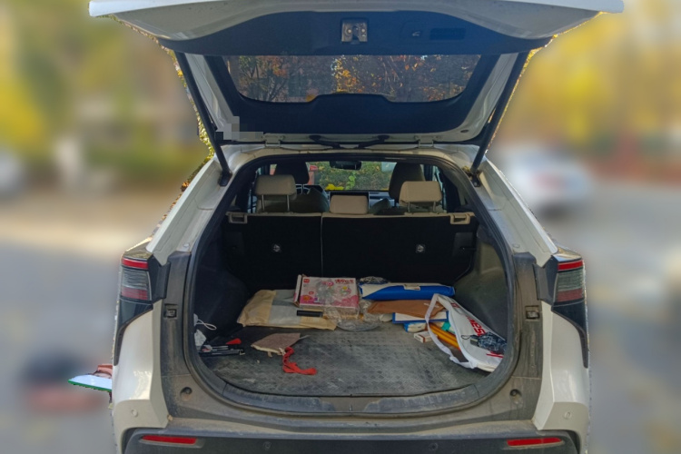 丰田 一汽丰田bZ4X 2023 汽车图片 #21