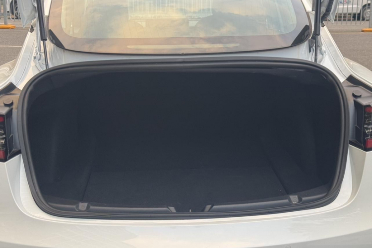 特斯拉 Model 3(进口) 2019 汽车图片 #21