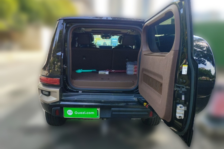 Tank 700 New Energy 2024 image de voiture #21