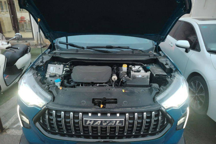 Haval Rabbit 2022 car image #21