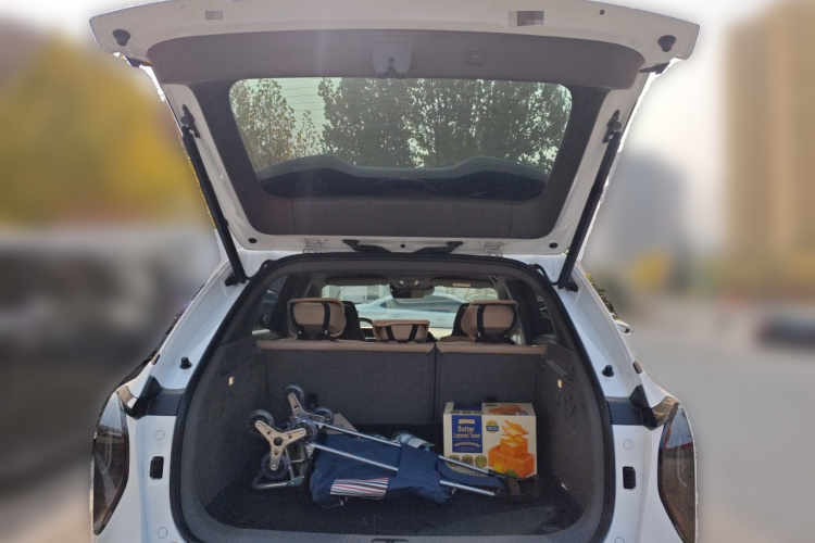 HongQi TianGong 08 2025 immagine di auto #21