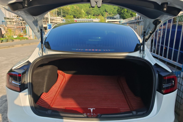 特斯拉 Model 3(进口) 2019 汽车图片 #21