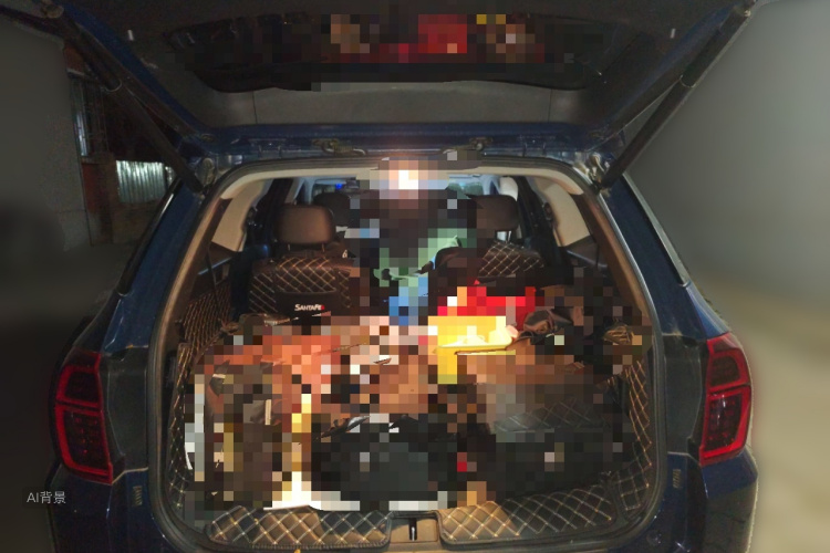 Hyundai Santa Fe 2021 car image #21