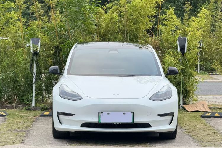 Tesla Model 3 2022 #21 Tesla Model 3 2022 car image #21
