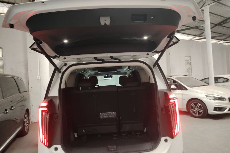 GAC Trumpchi E9 2024 car image #21