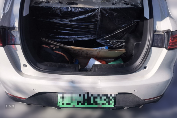 Wuling Binguo PLUS 2025 #21 Wuling Binguo PLUS 2025 immagine di auto #21