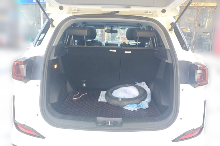 Showjet Pro 2021 imagen de coche #21