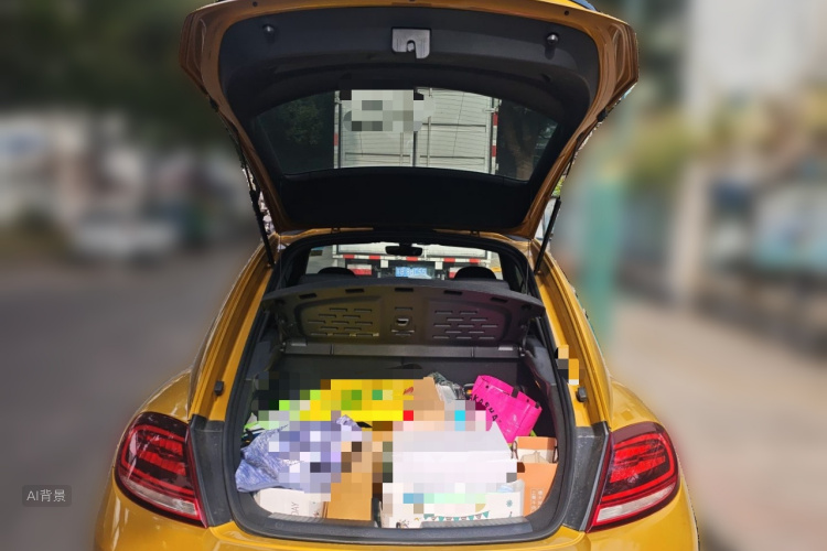 Volkswagen Beetle 2018 car image #21