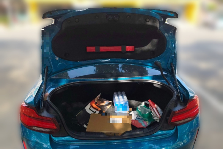 BMW M2 2018 car image #21