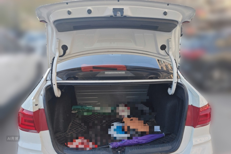 Santana 2019 #21 Santana 2019 immagine di auto #21