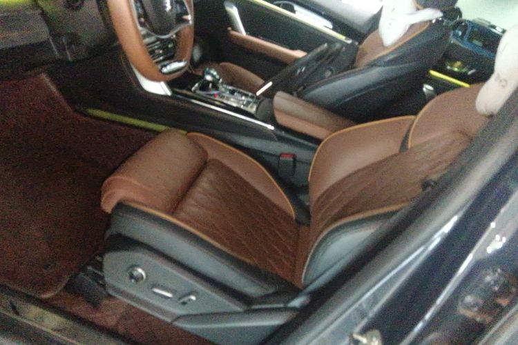 BYD Tang New Energy 2021 immagine di auto #21
