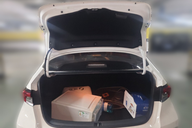 卡罗拉 2020 汽车图片 #21