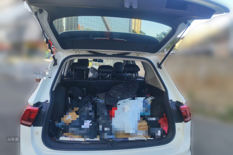 Volkswagen Tiguan L New Energy 2019 car image #21